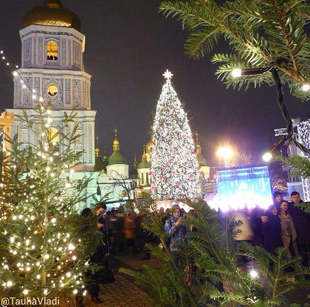 Как встречали Новый год в Киеве: шампанское и доллары на снегу