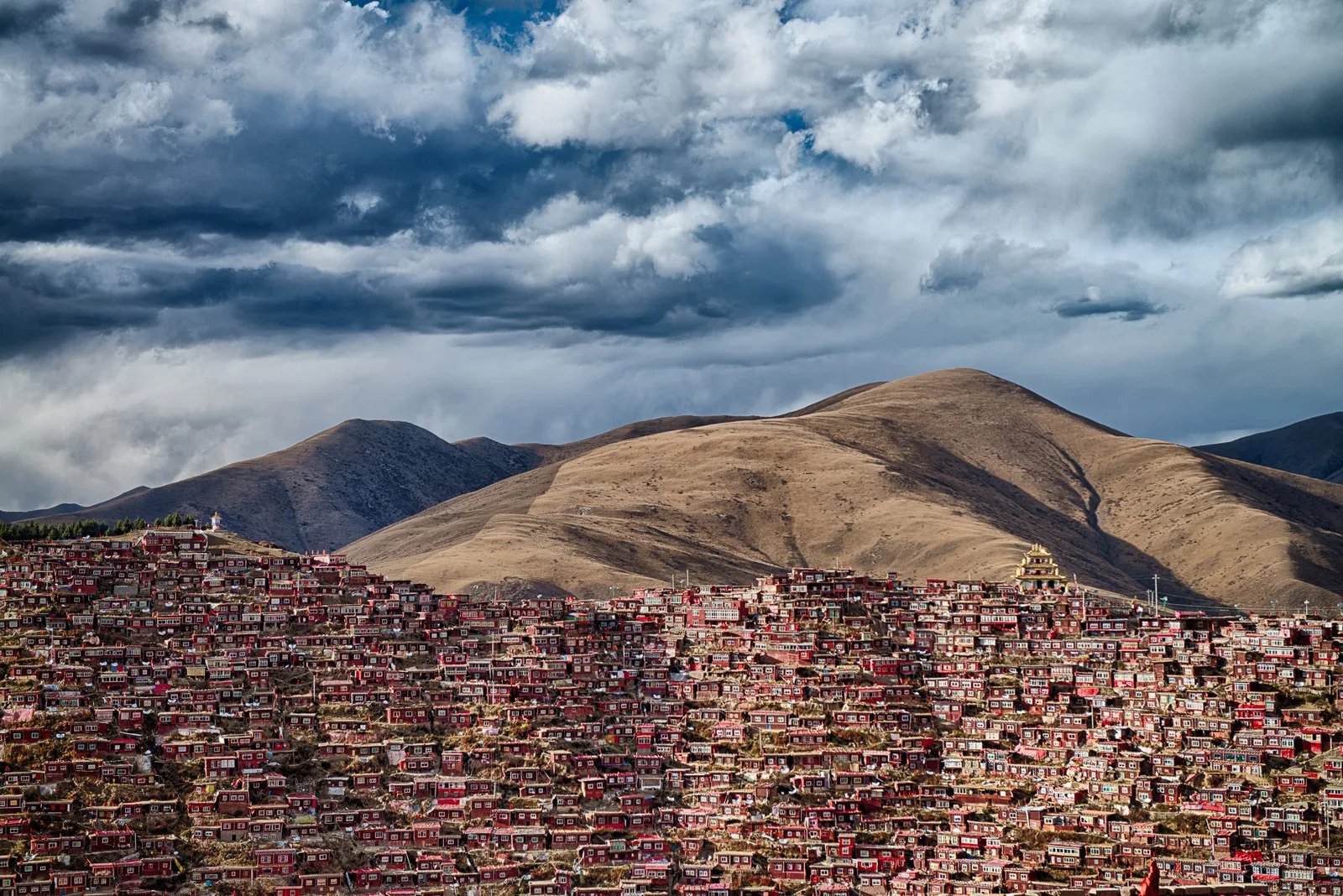 Мускулистые мужчины и буддийская академия: шорт-лист Sony World Photography Awards