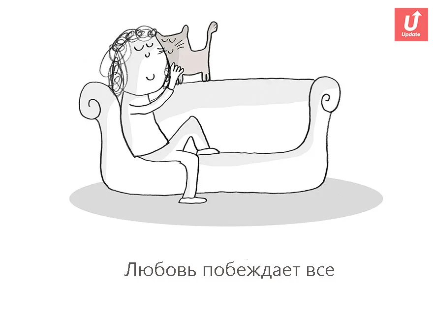 Коты учат жить