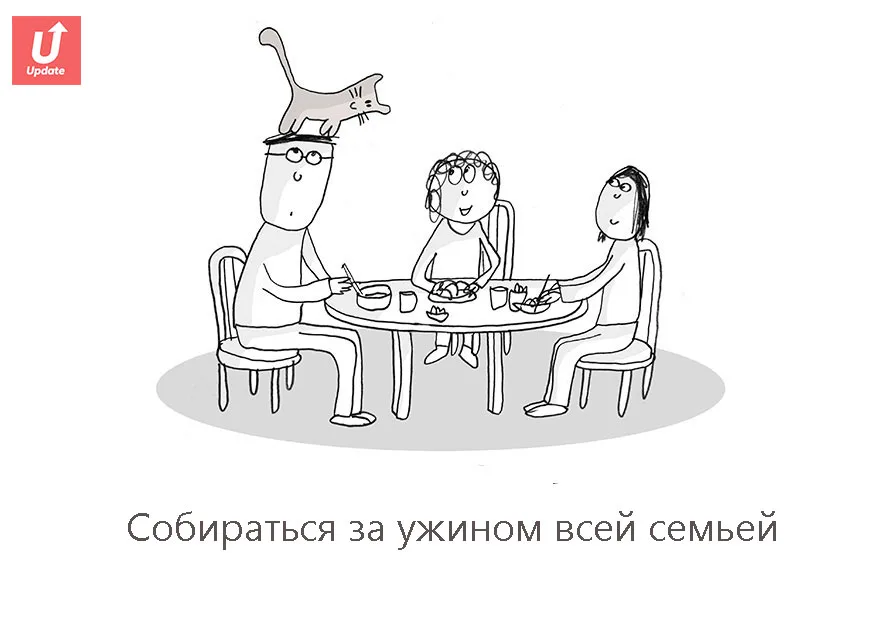 Коты учат жить