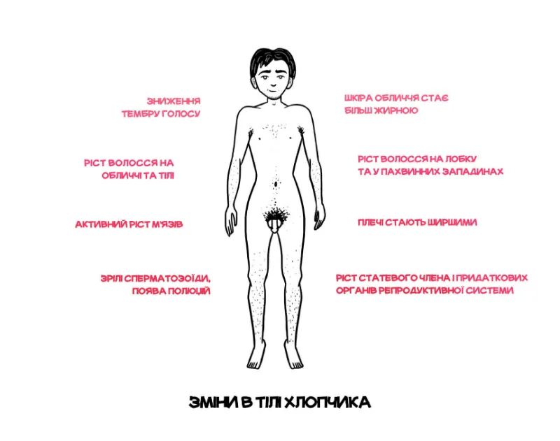 Ілюстраторка