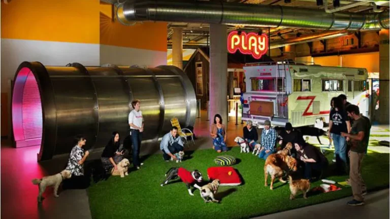 Офис компании Zynga