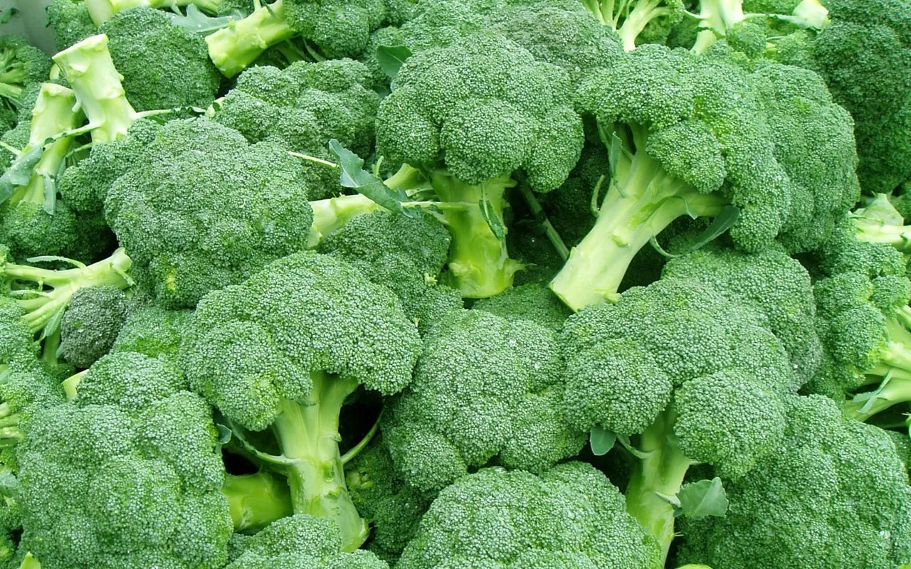 10 продуктов, которые спасут от рака груди