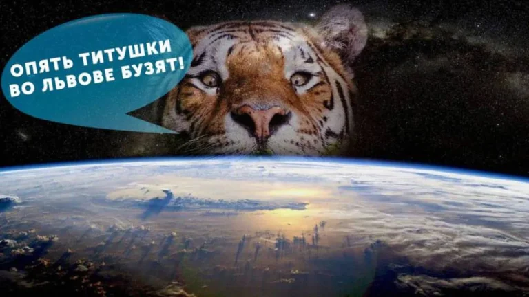 Укрнет тоже поучаствовал в конкурсе талантов
