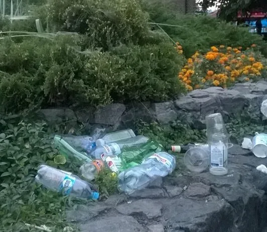 Киеву не хватает урн: столица завалена мусором