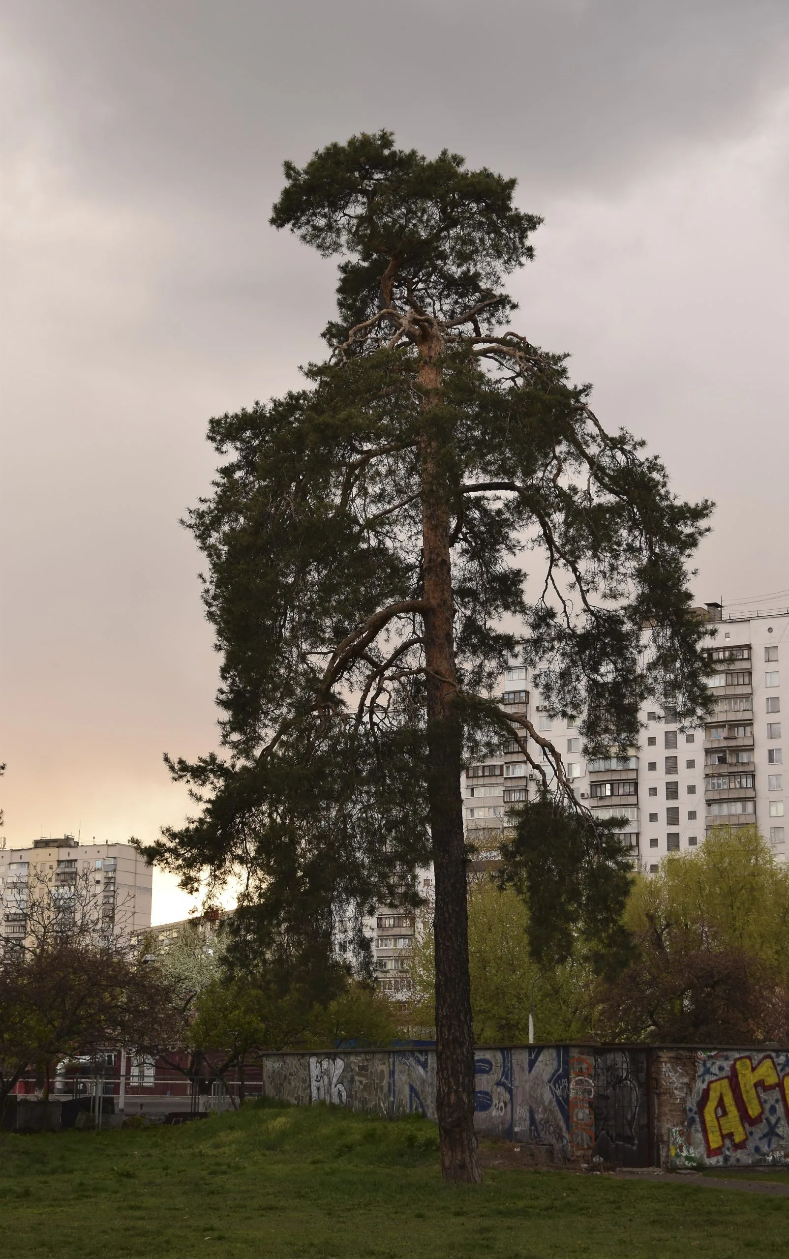 Киев, который исчезает