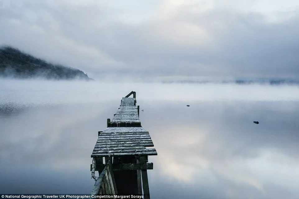 Финалисты фотоконкурса от National Geographic шокировали жюри