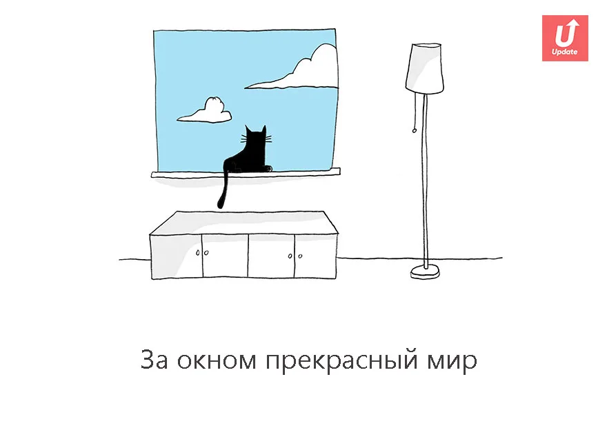 Коты учат жить