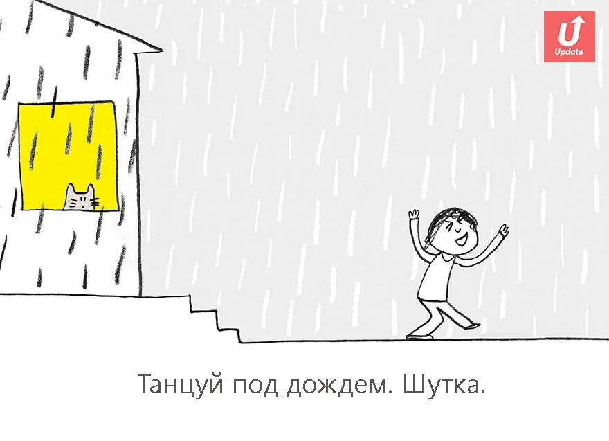 Коты учат жить