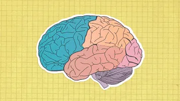 3 причины “покопаться” в мозгах вместе с “Часопыс”