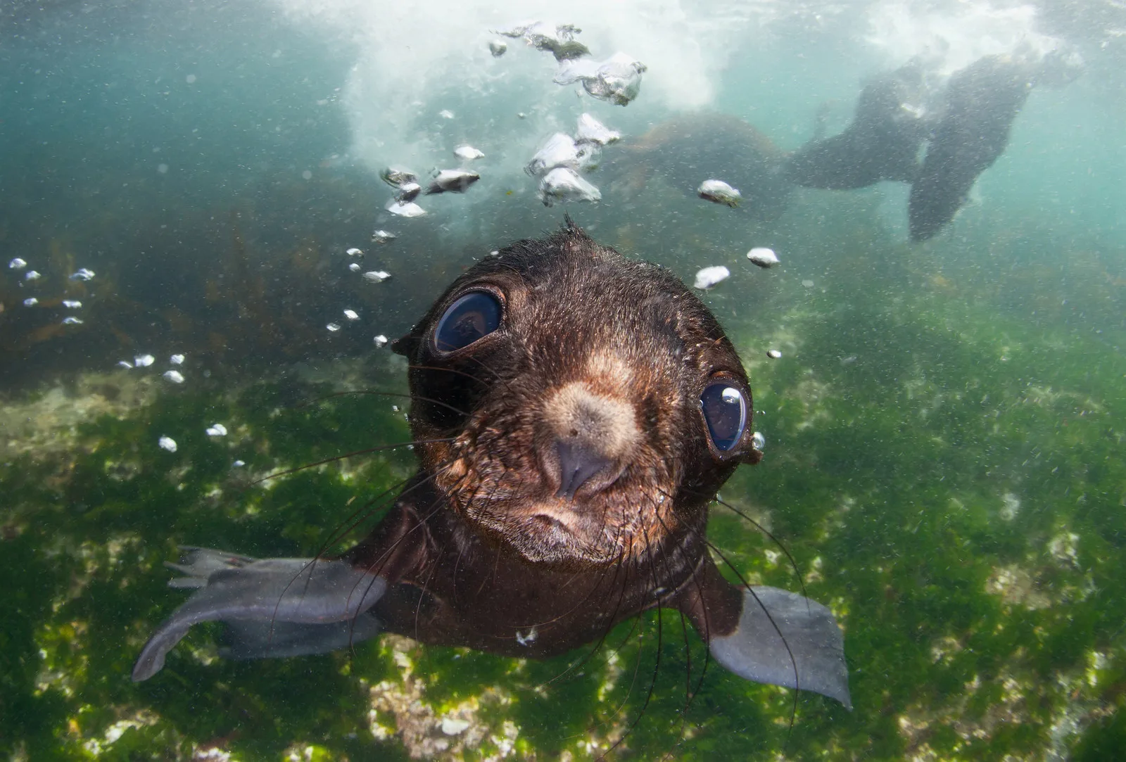 Мускулистые мужчины и буддийская академия: шорт-лист Sony World Photography Awards