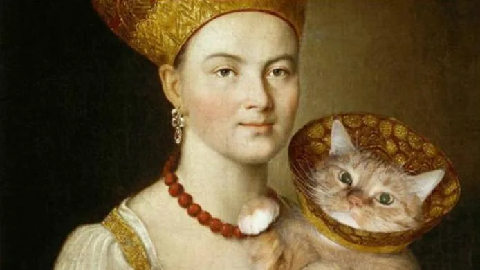 Котики требуют внимания, а кафе - доходов