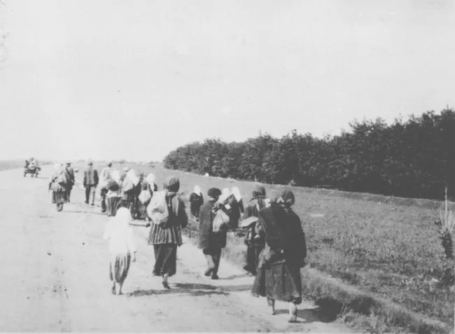 Голодні селяни залишають село в пошуку їжі в місті. Фото з Колекції Кардинала Теодора Інніцира (Архів Віденської Дієцезії). Фото зробив інж. А. Вінербергер. Фотодокументи надані проф. Василем Марочком (Інститут історії України НАН України). – ЦДКФФА України імені Г. С. Пшеничного. Од. зб. 5134.