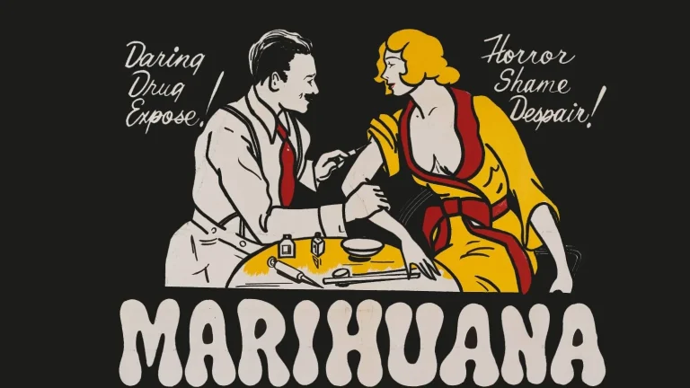 Обколятся своей марихуаной и оргии устраивают!