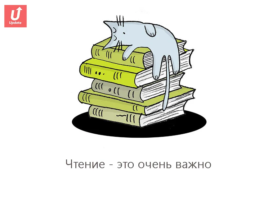 Коты учат жить