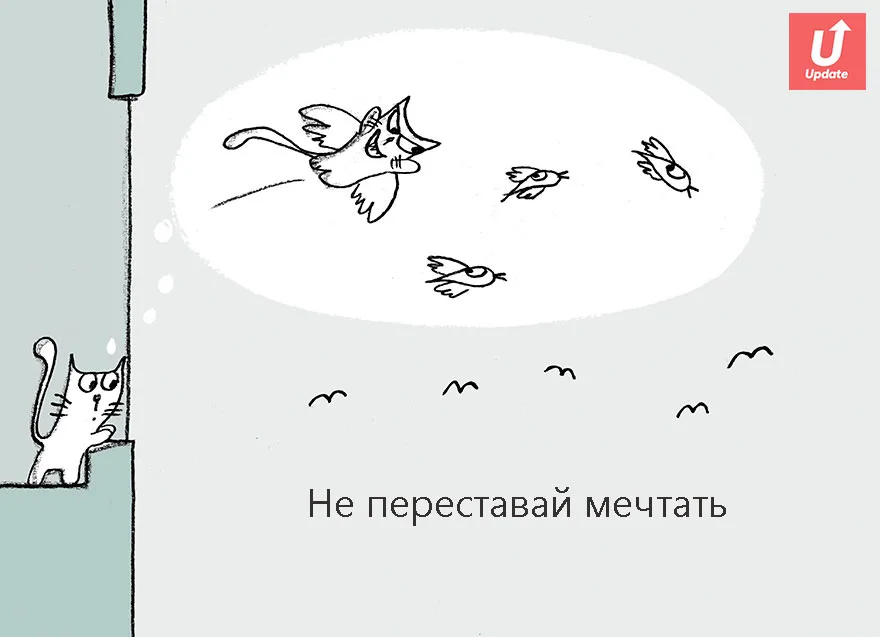 Коты учат жить