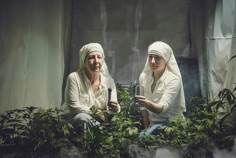 Соцсети сделали мем из монахинь, выращивающих марихуану