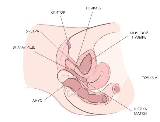 http://badgirlsbible.com/how-to-masturbate-for-women