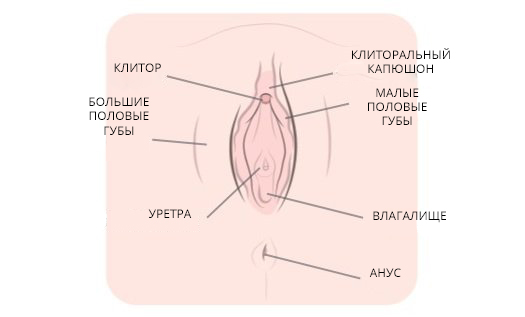 http://badgirlsbible.com/how-to-masturbate-for-women